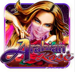 Arabian Rose