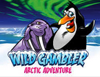 Arctic Adventure