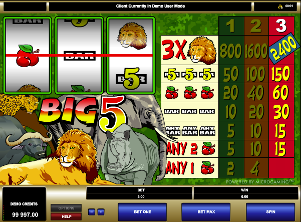 Big 5