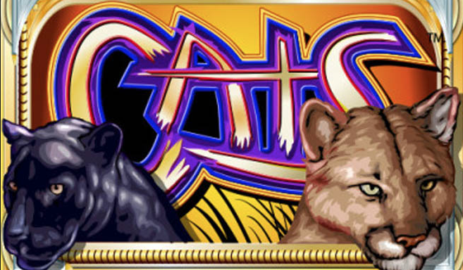 Cats