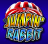Jumping Rabbit