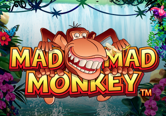 Mad Mad Monkey