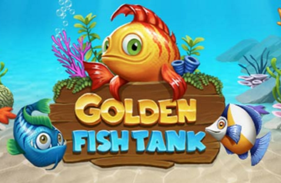 Golden Fish Tank