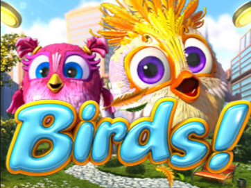 Birds!