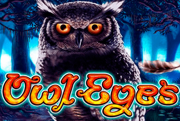 Owl Eyes NEW
