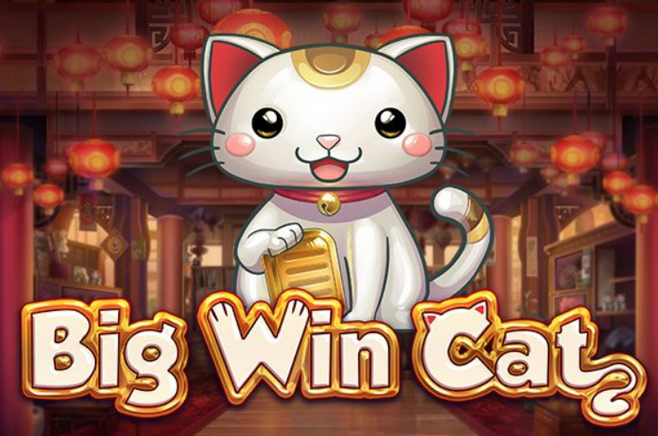 Big Win Cat
