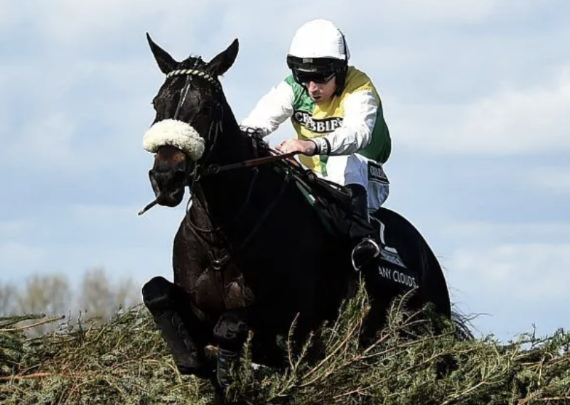 William Hill Partners with Randox Grand National Festival