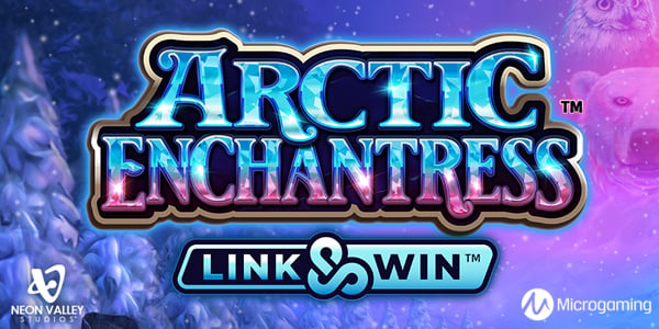 Arctic Enchantress