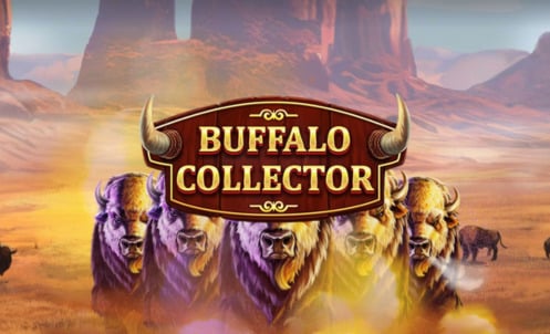 Buffalo Collector