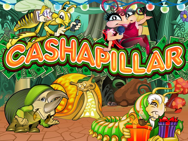 Cashapillar