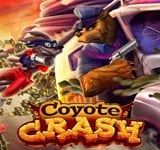 Coyote Crash