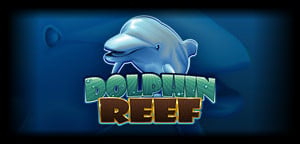 Dolphin Reef