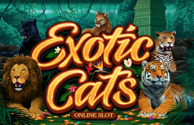 Exotic Cats