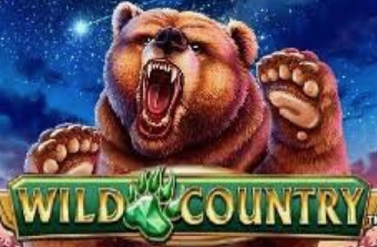 Wild Country