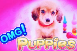 OMG! Puppies