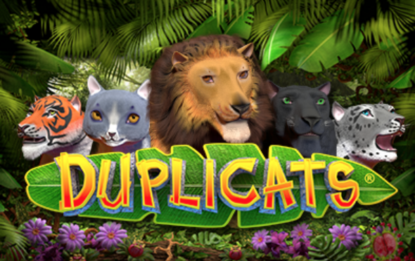 Duplicats