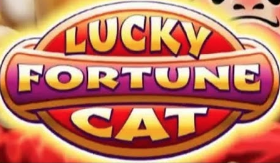 Lucky Fortune Cat