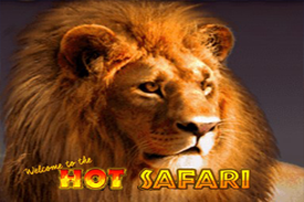 Hot Safari