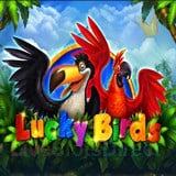 Lucky Birds