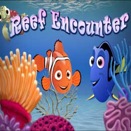 Reef Encounter