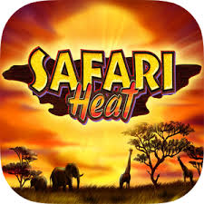 Safari Heat