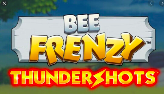 Bee Frenzy Thundershots