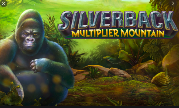 Silverback: Multiplier Mountain