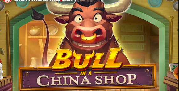 Bull in a China Shop