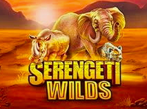 Serengeti Wilds
