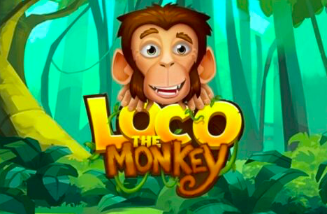 Loco the Monkey