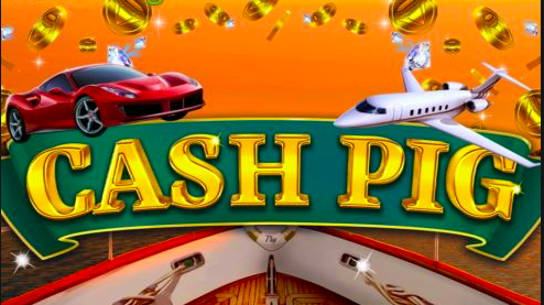 Cash Pig