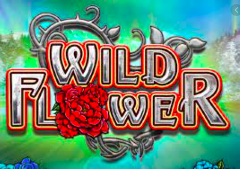 Wild Flower