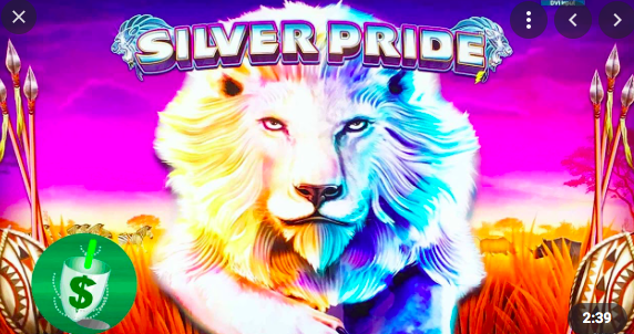 Silver Pride