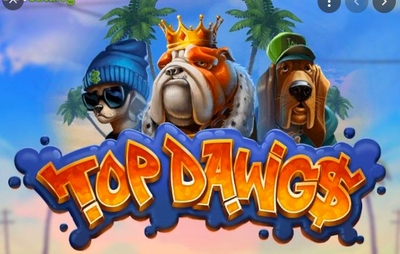 Top Dawg$