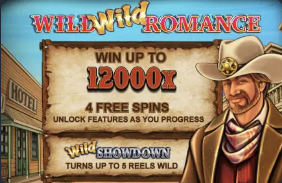 Wild Wild Romance
