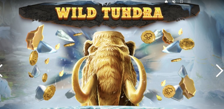 Wild Tundra