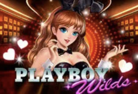 Playboy Wilds