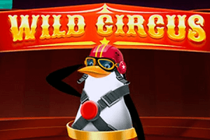 Wild Circus