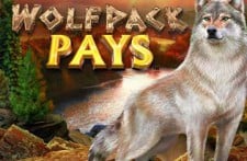 Wolfpack Pays