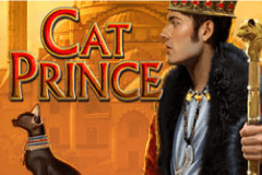 Cat Prince