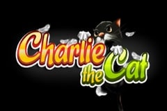 Charlie the Cat
