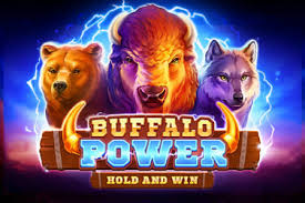 Buffalo Power Hold and Win