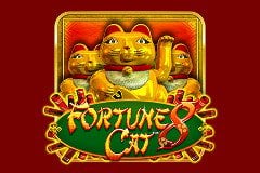 Fortune 8 Cat