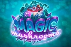 Magic Mushrooms