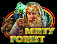 Misty Forest