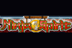 Ninja Spirit
