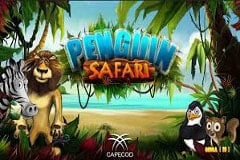 Penguin Safari