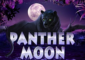 Panther Moon