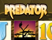 Predator