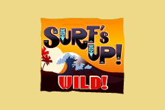 Surf’s Up